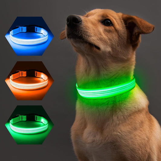 Collar LED Brillante Para Perro