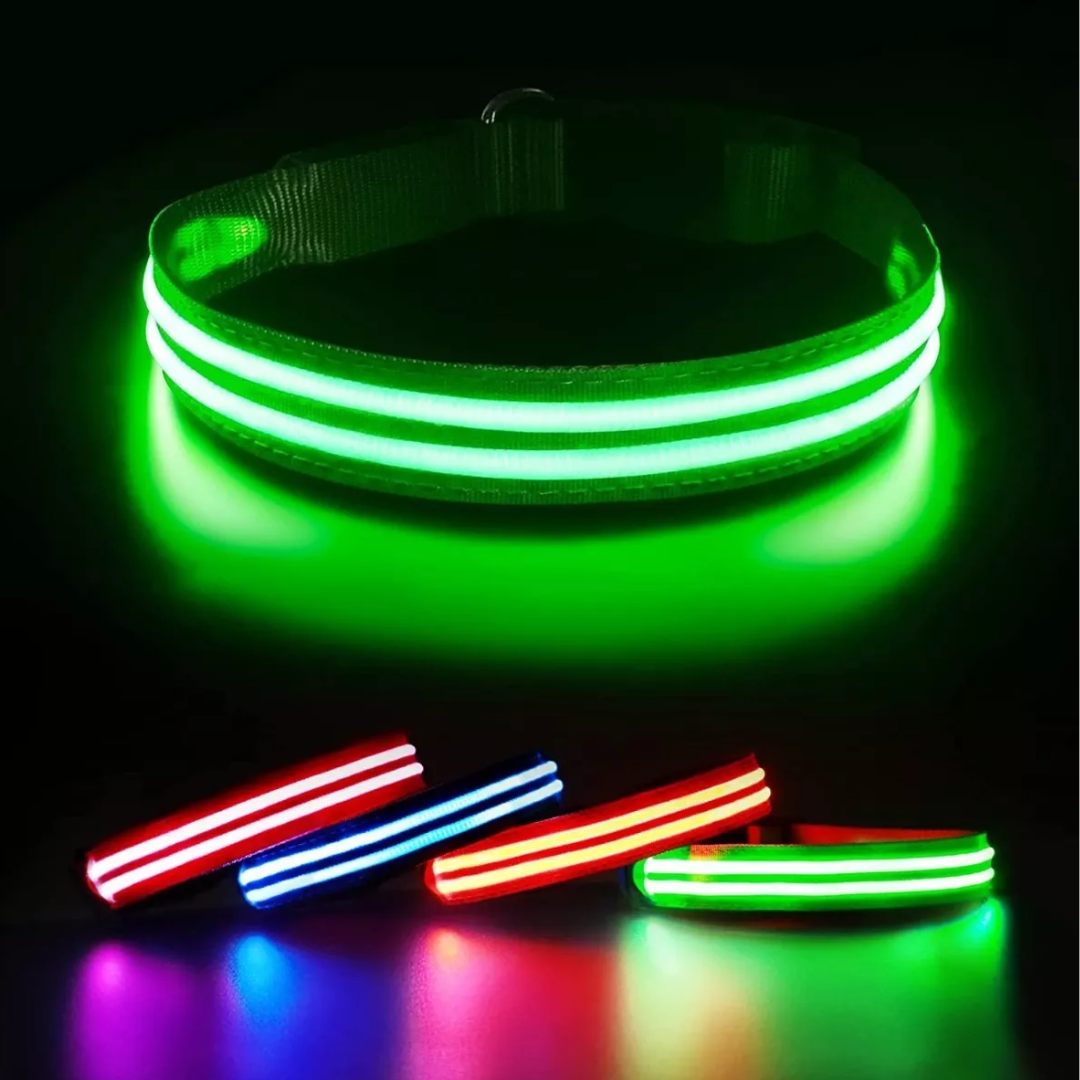 Collar LED Brillante Para Perro