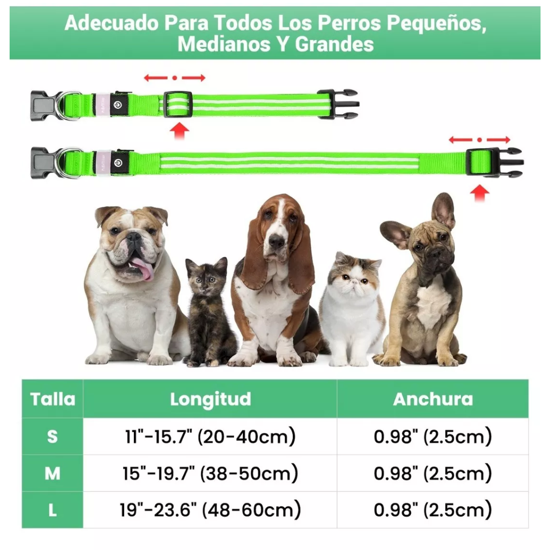 Collar LED Brillante Para Perro